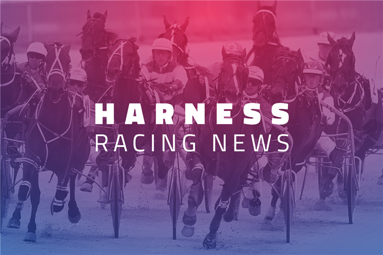 RSN Harness Racing