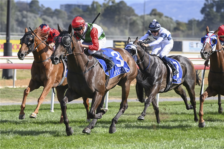 Handle The Truth wins at Canberra on 7 March 2021.
