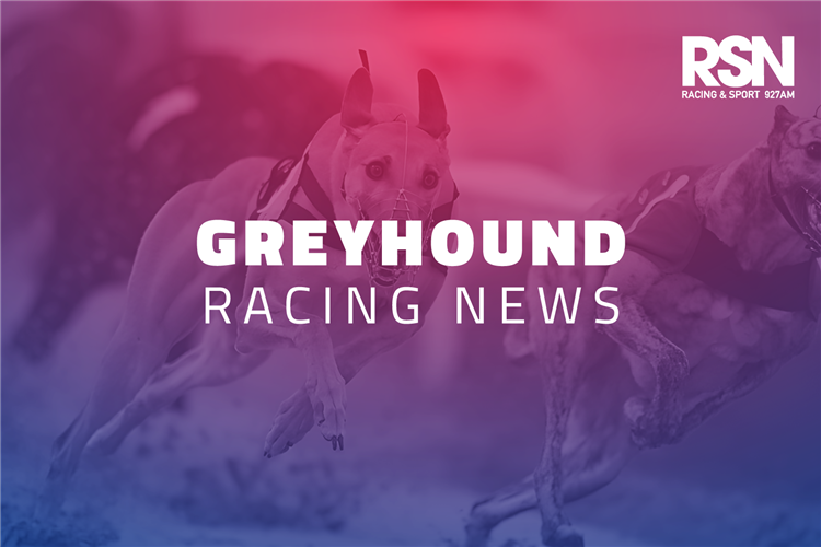 RSN Greyhound Racing News