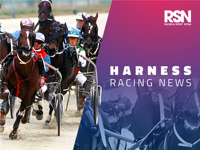 RSN Harness Racing News