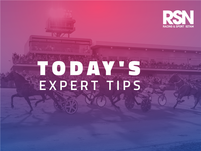 RSN Harness Racing Expert Tips