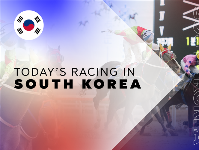 Today's racing in South Korea