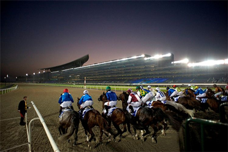 World Pool will be active on Dubai World Cup night for a third successive year.
