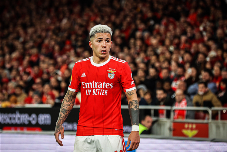 Enzo Fernandez of Benfica.