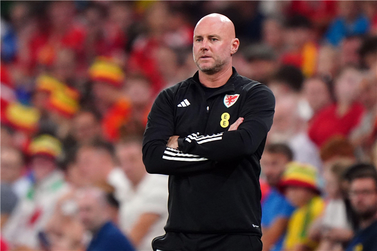 Wales manager Rob Page