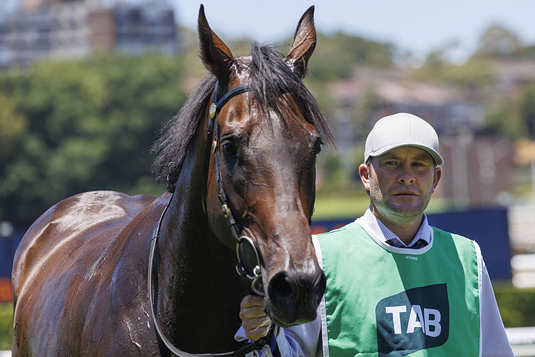 Trainer : BRETT ROBB