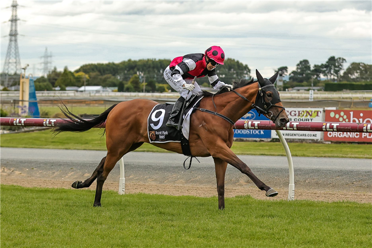 Aberlour winning the Listed Southland Guineas (1600m).