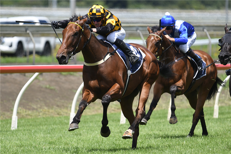 ABOUT TIME winning the SIR PATRICK HOGAN STAKES