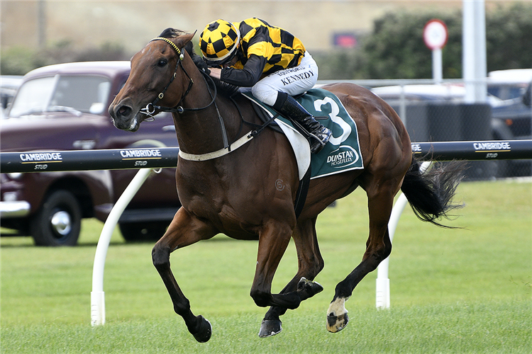 ABOUT TIME winning the DUNSTAN HORSEFEEDS STAYERS CHAMPIONSHIP FINAL