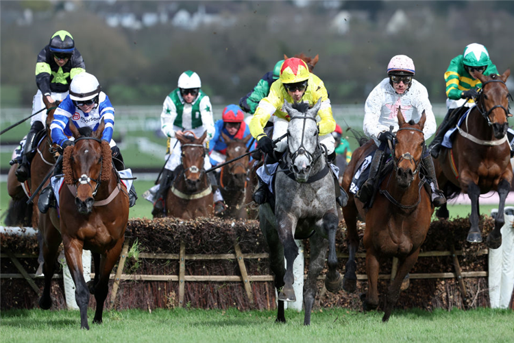 ABSURDE (2nd right, pink cap) winning the County Handicap Hurdle at Cheltenham in England.