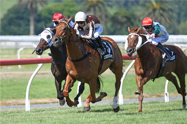 Old takes two shots at inaugural Karapiro Classic