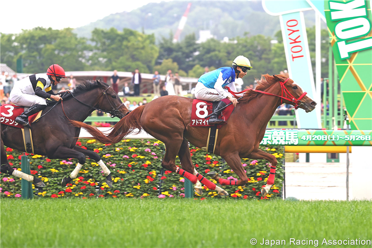 ADMIRE BELLE winning the Flora Stakes (Japanese Oaks Trial) at Tokyo in Japan.