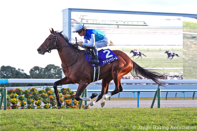 ADMIRE ZOOM winning the Asahi Hai Futurity Stakes at Kyoto in Japan.