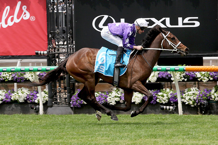 AELIANA winning the Channel 9 Carbine Club Stakes