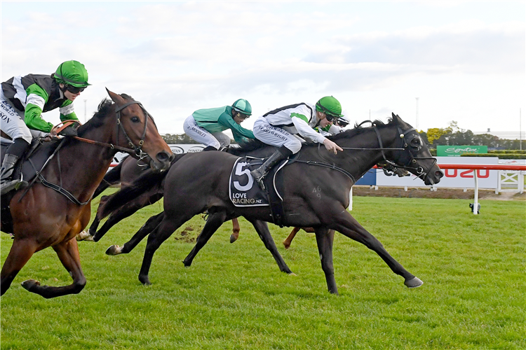 AGERA winning the TE AKAU - NZ'S CHAMPION STABLE MILE