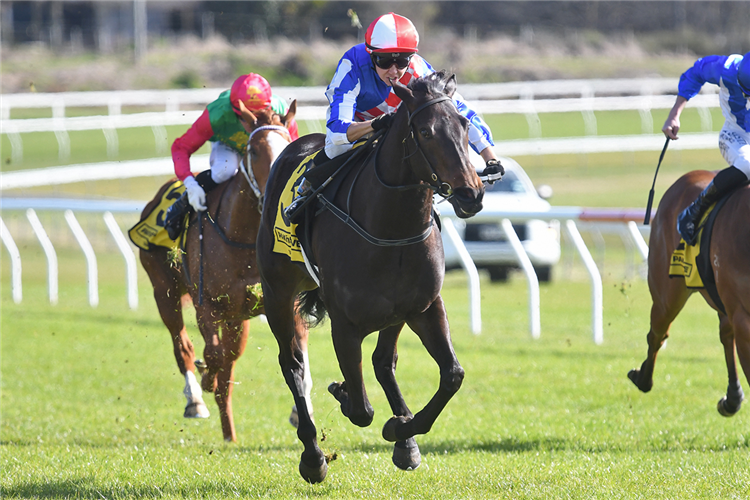 ALABAMA LASS winning the TAUPO PAK'NSAVE 3YO FILLIES