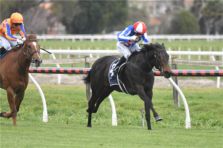 ALABAMA LASS winning the HBPB THOROUGHBRED BREEDERS GOLD TRAIL STAKES