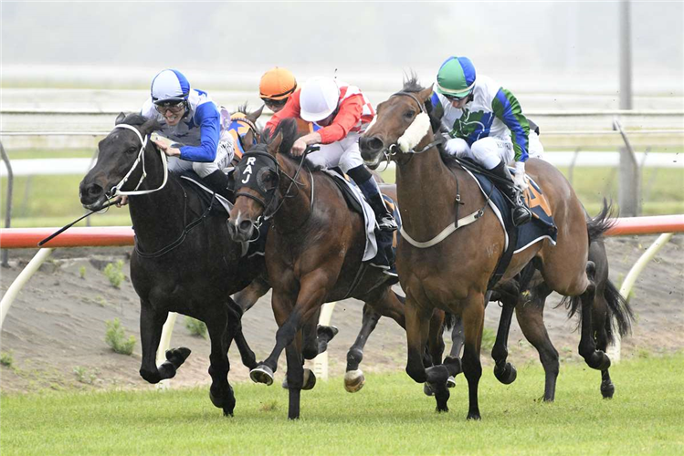 ALADDIN SANE (centre) winning the DUNSTAN HORSEFEEDS STAYERS CHAMPIONSHIP QUALIFIER