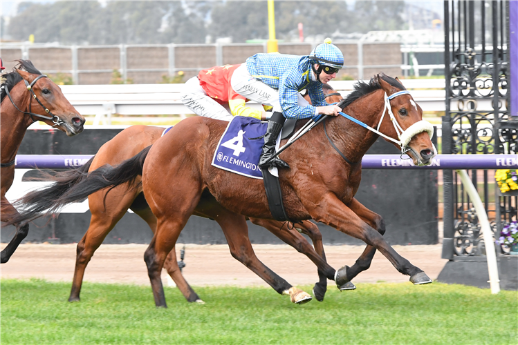 ALDOLFITO winning the Next Generations Sprinters Series Final at Flemington in Australia.