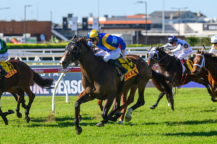 ALEGRON winning the XXXX BRISBANE CUP