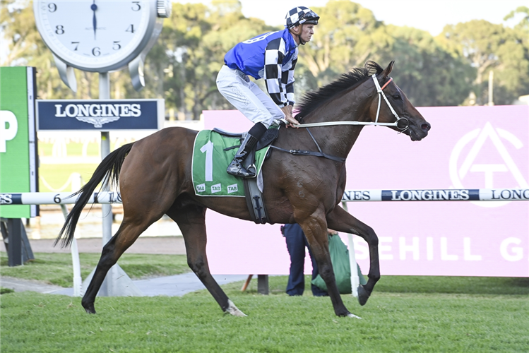 Almania is the early favourite for the 2024 TAB Canberra Cup.