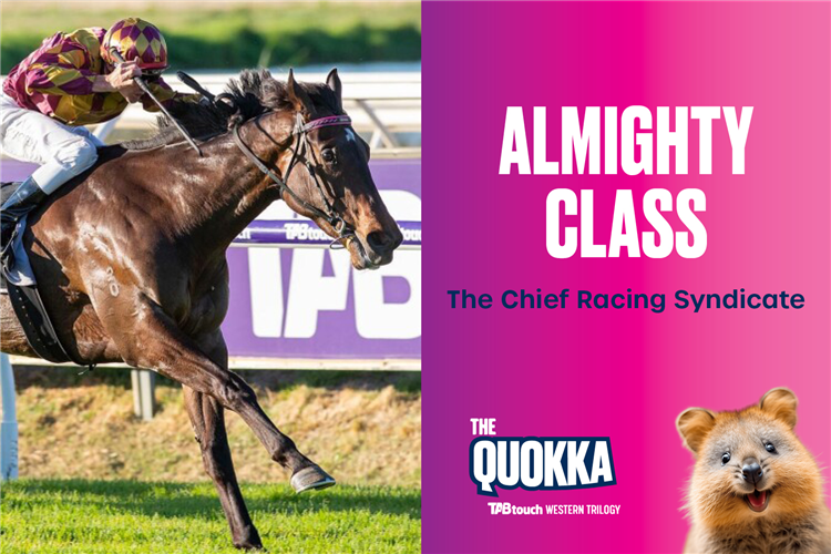 ALMIGHTY CLASS running in The Quokka