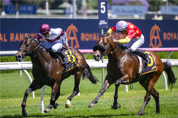 AMAZING EAGLE winning the Brian Crowley Stakes