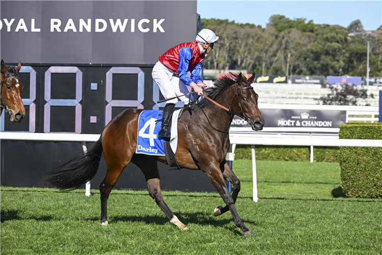 AMEENA after winning the DARLEY SILVER SHADOW STAKES at Randwick in Australia.