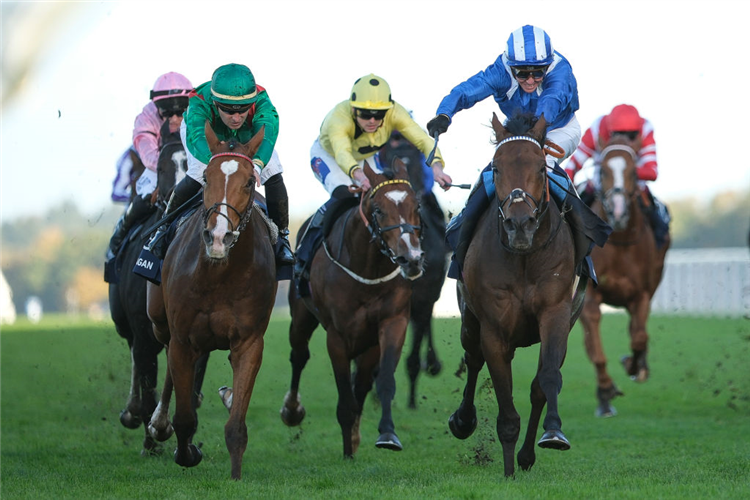 ANMAAT (blue/white cap) winning the Champion Stakes at Ascot in England.