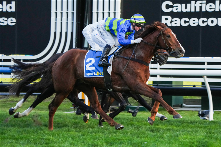 ANOTHER WIL winning the Sportsbet Same Race Multi Handicap at Caulfield in Australia.