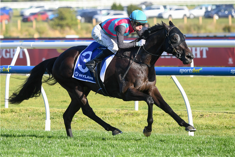 ANTINO winning the Hyland Race Colours Toorak Handicap at Caulfield in Australia.