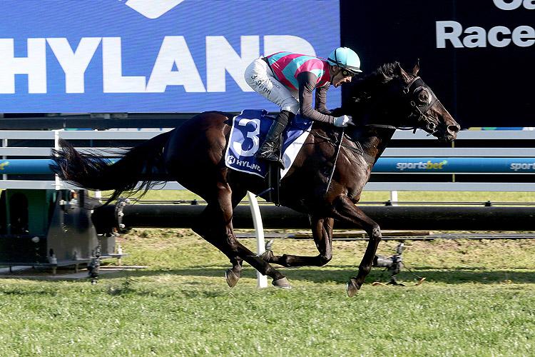 ANTINO winning the Hyland Race Colours Toorak Handicap