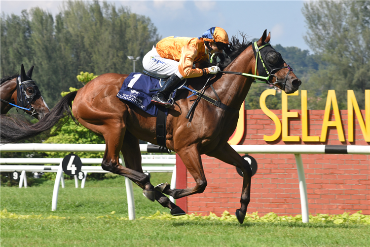 ANTIPODEAN winning the Jul 13 2024 Selangor Meeting Race 6