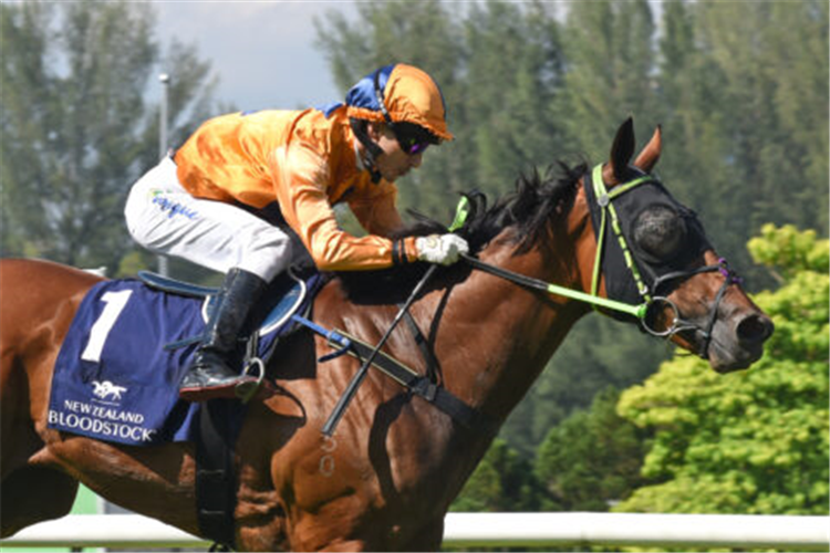 ANTIPODEAN winning the Aug 24 2024 Selangor Meeting Race 5 (810)