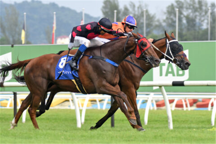 ANTIPODEAN (inner)winning the Sep 08 2024 Selangor Meeting Race 9 (874)