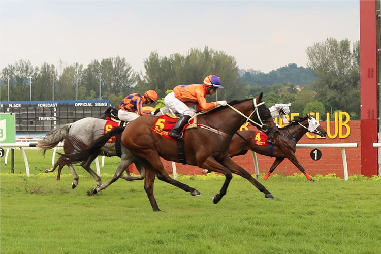 ANTIPODEAN winning the Oct 13 2024 Selangor Meeting Race 7 (989)