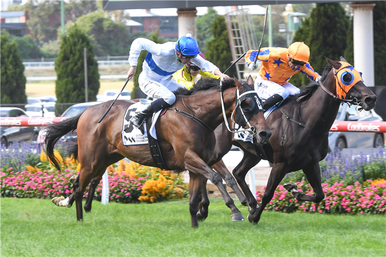 ANTRIM COAST winning the DCE Alister Clark Stakes at Moonee Valley in Australia.