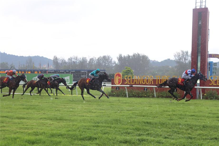 ARIGATO winning the Dec 22 2024 Selangor Meeting Race 6 (1131)