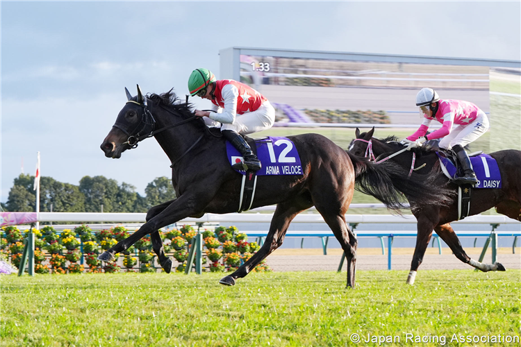 ARMA VELOCE winning the Hanshin Juvenile Fillies at Kyoto in Japan.