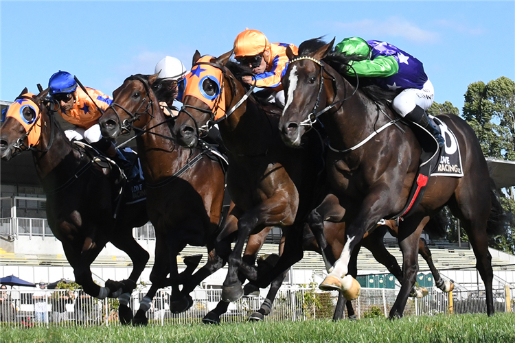 ASCEND THE THRONE (second from inside) winning the LEGACY LODGE WAIKATO GUINEAS