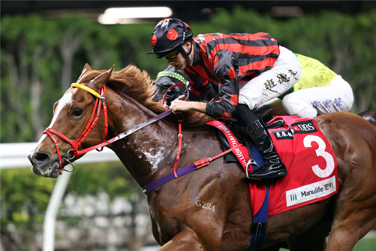 ATOMIC FORCE winning the NIGHTJAR HANDICAP