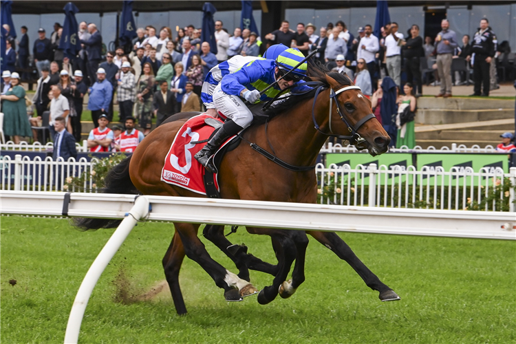 ATTRITION winning the TOYOTA FORKLIFTS HILL STAKES at Rosehill in Australia.