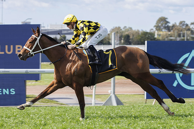 AUTUMN GLOW winning the SCHWEPPES HANDICAP