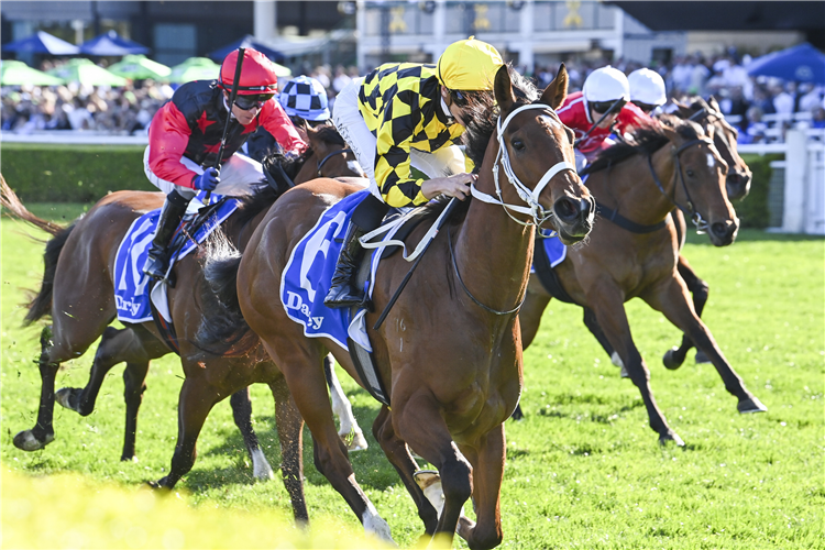 AUTUMN GLOW winning the Darley Tea Rose Stakes at Randwick in Australia.