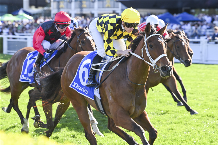 AUTUMN GLOW winning the Darley Tea Rose Stakes at Randwick in Australia.