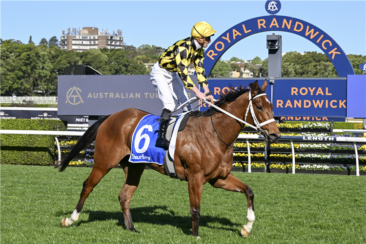 AUTUMN GLOW winning the Darley Tea Rose Stakes at Randwick in Australia.