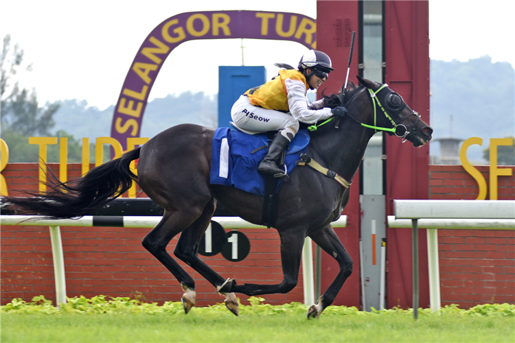 AWESOME STORM winning the SELANGOR Race 7