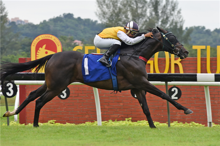 AWESOME STORM winning the Sep 21 2024 Selangor Meeting Race 7 (921)