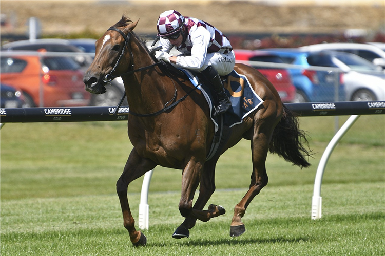 BABYLON BERLIN winning the CONCORDE STAKES