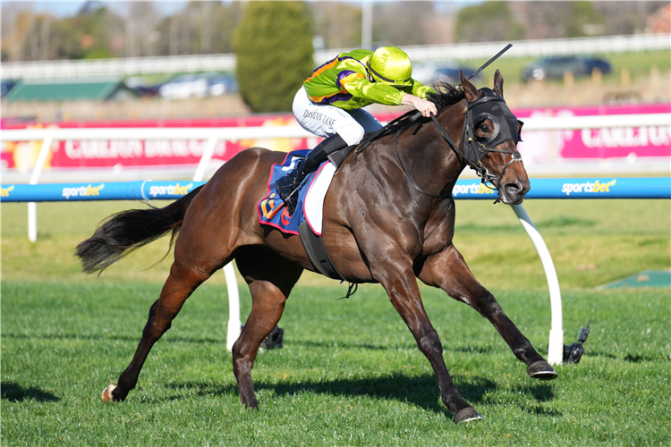 BAND OF BROTHERS winning the Vain Stakes at Caulfield in Australia.